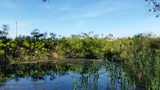 Riserva Naturale fiume Ciane